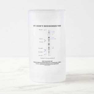 Caneca De Cerveja Vidro Jateado Se eu não reconheço você apenas responsabiliza