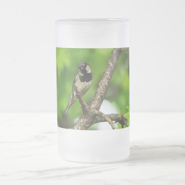 Caneca De Cerveja Vidro Jateado Sentado Ao Redor Do Fosco (Centro)