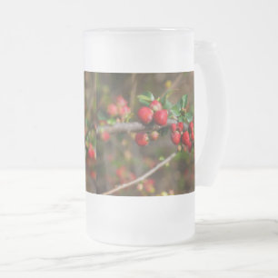 Caneca De Cerveja Vidro Jateado Tampa De Vidro Do Fosco De Primavera Vermelho