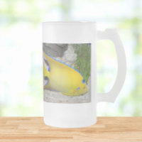Yellow and Blue Queen Angelfish