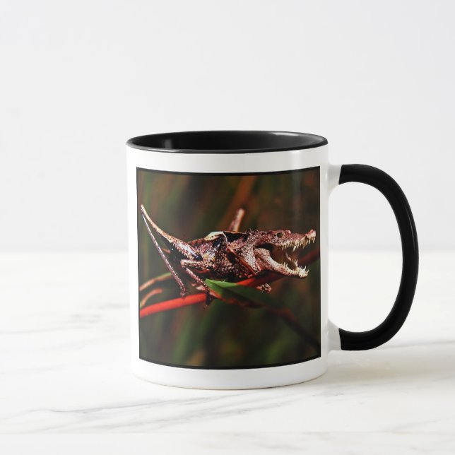 Caneca de Crocket (Direita)