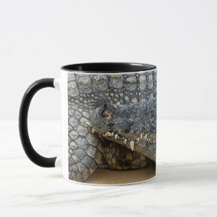 Caneca de Crocodilos