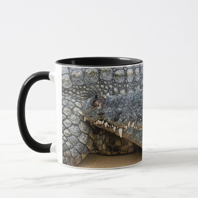 Caneca de Crocodilos (Esquerda)
