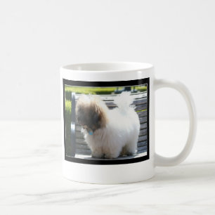 Caneca de de Tulear Filhote de cachorro do algodão