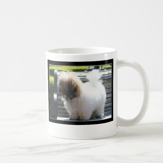 Caneca de de Tulear Filhote de cachorro do algodão (Direita)