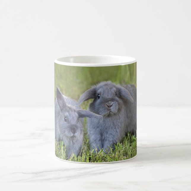 Caneca de dois coelhos (Centro)