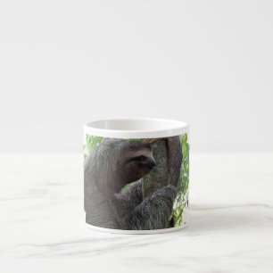 Caneca de escalada da especialidade da preguiça d