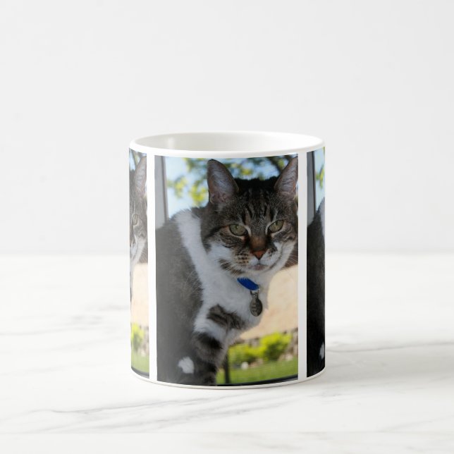 Caneca de Gato Suave (Centro)