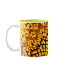 Caneca de Girassol 1