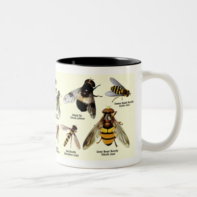 Caneca de Hoveryfly - tom 2 (Direita)