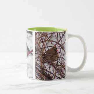 Caneca de inverno