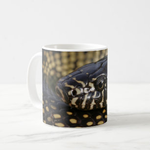 Caneca de Kingsnake do deserto