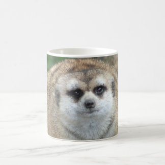 Caneca de Meerkat