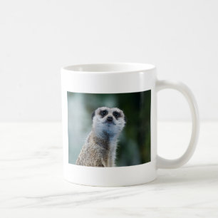Caneca de Meerkat