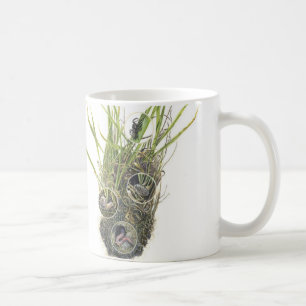 Caneca de Microhabitat