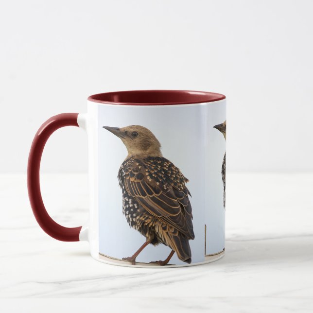 Caneca de Pássaro Estorninho Europeu (Esquerda)