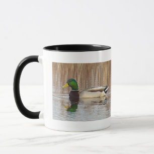 Caneca de Patos-reais