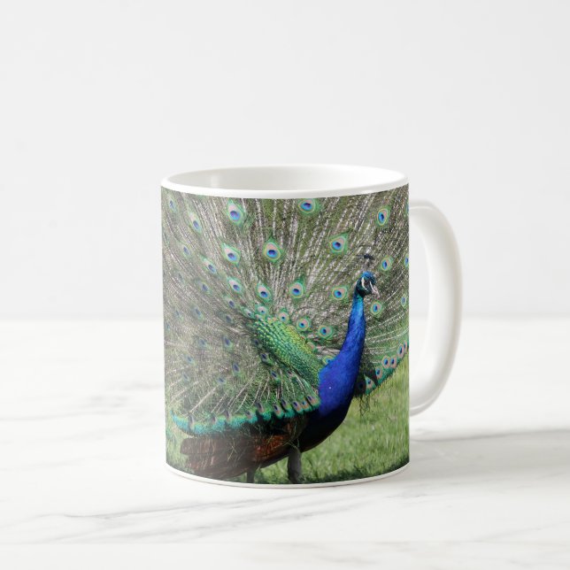 Caneca de pavão (Frente Esquerda)