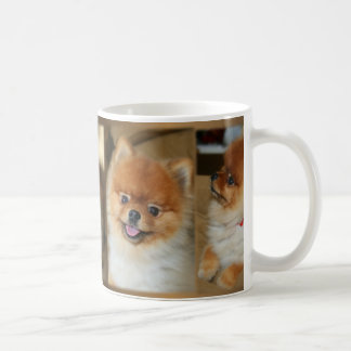 Caneca de Pomeranian