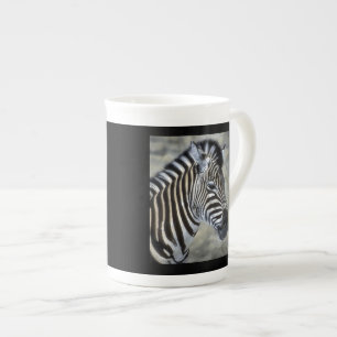 Caneca De Porcelana Amantes de Zebras Arte
