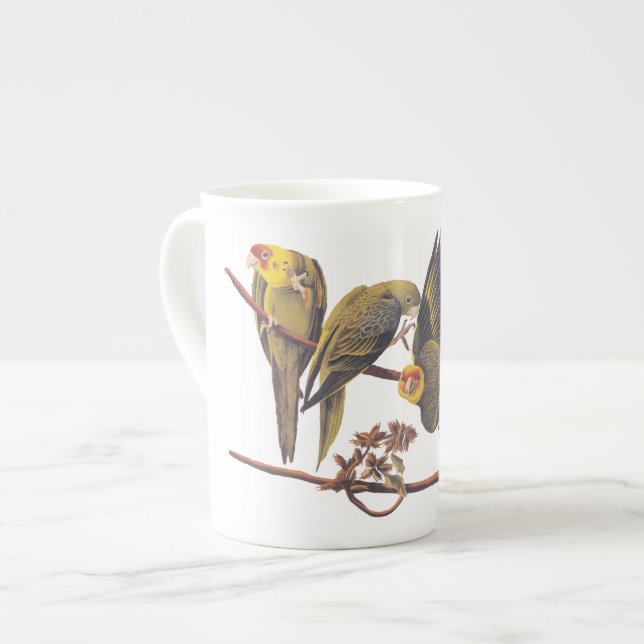 Caneca De Porcelana Carolina Parakeet Trio (Frente Esquerda)
