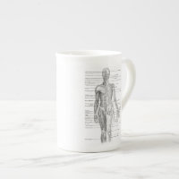 Carta humana educacional da anatomia