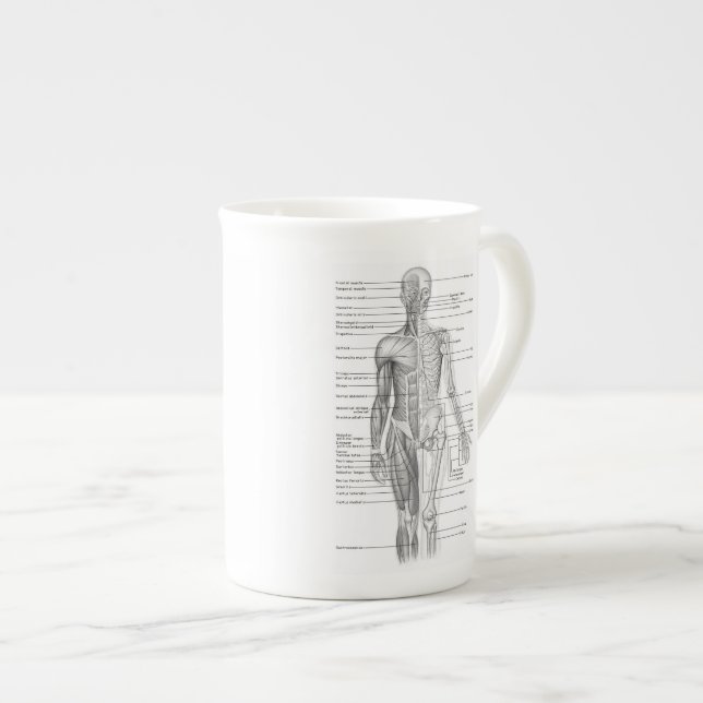 Caneca De Porcelana Carta humana educacional da anatomia (Frente Esquerda)