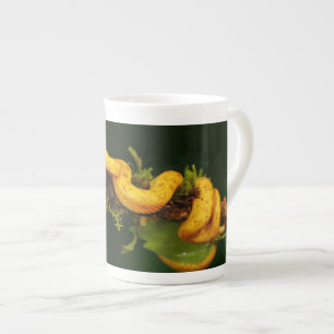 Caneca De Porcelana Cobra da víbora do veneno de Costa Rica