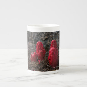 Caneca De Porcelana Flores da neve