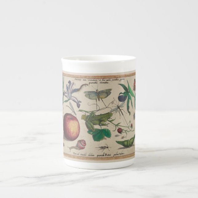 Caneca De Porcelana Os insetos antigos, flores, frutificam Hoefnagel (Frente)