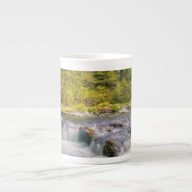 Caneca De Porcelana Primavera no Vale do Squaw Creek (Frente)