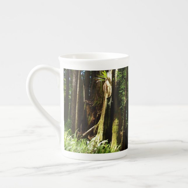 Caneca De Porcelana Sequoias e Fernos no Parque Nacional de Redwood (Esquerda)