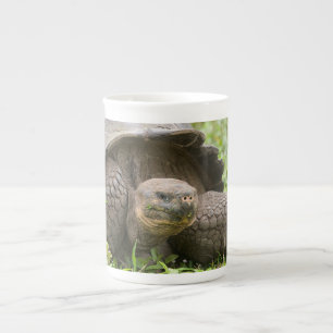 Caneca De Porcelana Tartaruga gigante