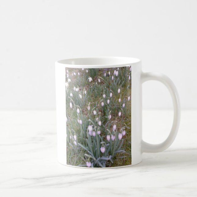 Caneca de Snowdrops (Direita)