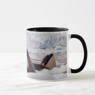 Caneca de Spyhopping das orcas