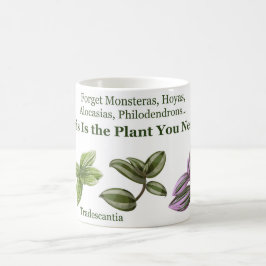 Caneca de Tradescantia 3