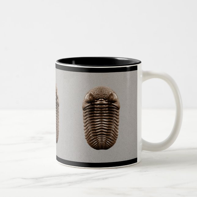 Caneca de Trilobite (Direita)