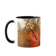 Deer Hunter In Woods