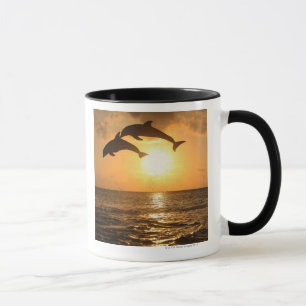 Caneca Delfin 3