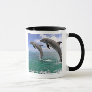 Caneca Delfin, Delfim, Tuemmler mais bruto, Tursiops 4
