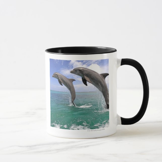 Caneca Delfin, Delfim, Tuemmler mais bruto, Tursiops 4 (Direita)