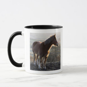 Caneca Derbyshire, Inglaterra