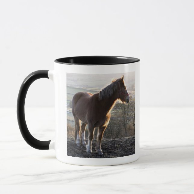 Caneca Derbyshire, Inglaterra (Esquerda)