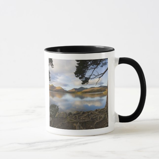 Caneca Derwentwater, Distrito dos Lagos, Cúmbria, Inglate (Direita)