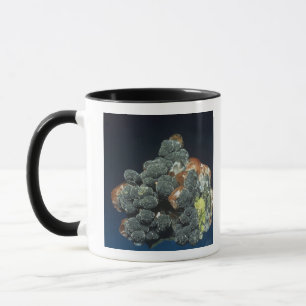 Caneca Descloizite na calcite