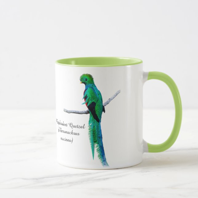 Caneca Desenho quetzal Ilustração das aves Aquarela (Direita)