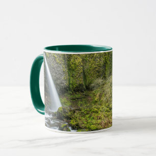 Caneca Desfiladeiro do Rio Columbia, Ponytail Falls