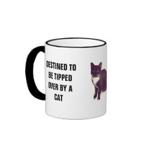 Destinado para ser derrubado sobre pelo gato