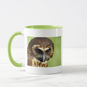 Caneca Destino animal da harmonia da árvore do parque