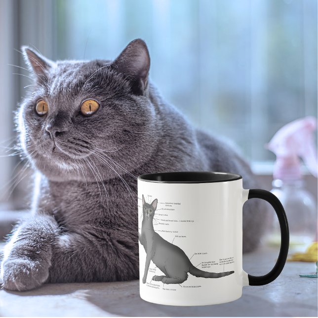 Caneca Diagrama de Anatomia de Gato Engraçado Humor Nerd (Criador carregado)